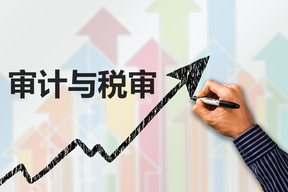 稅審報(bào)告和審計(jì)報(bào)告是什么？對(duì)企業(yè)有什么好處？?jī)烧哂惺裁磪^(qū)別