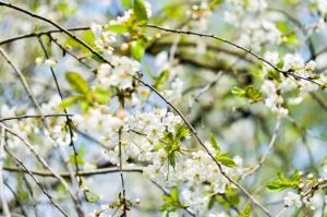 三月春意昂·結(jié)伴探春風(fēng)——君林企業(yè)踏青活動掠影 