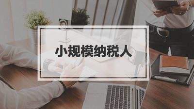 小規(guī)模納稅人有銷(xiāo)無(wú)進(jìn)，未提供任何進(jìn)項(xiàng)將要嚴(yán)查！