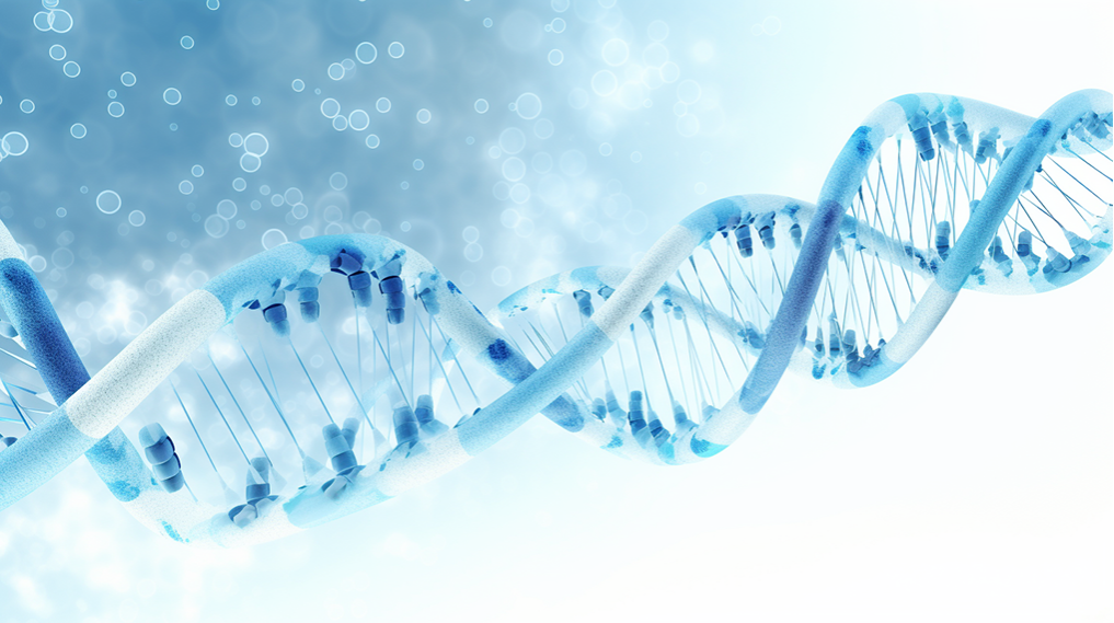 香港BVI公司年審指南：確保合規(guī)與順利運(yùn)營(yíng)的關(guān)鍵步驟